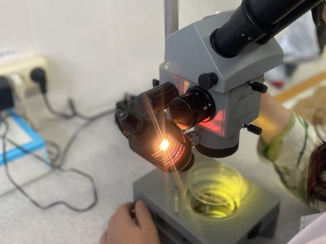 В лаборатории филиала ЦОК АПК в Кабардино-Балкарской Республике исследовано более 18 тысяч тонн зерна кукурузы 