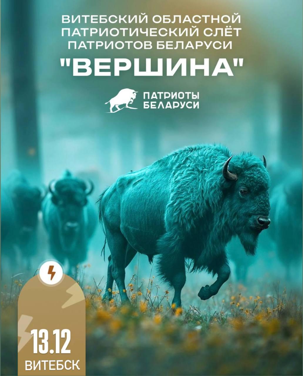 «Вершина» патриотизма в Витебске: маршруты памяти, диалоги о будущем и «Елочка желаний»