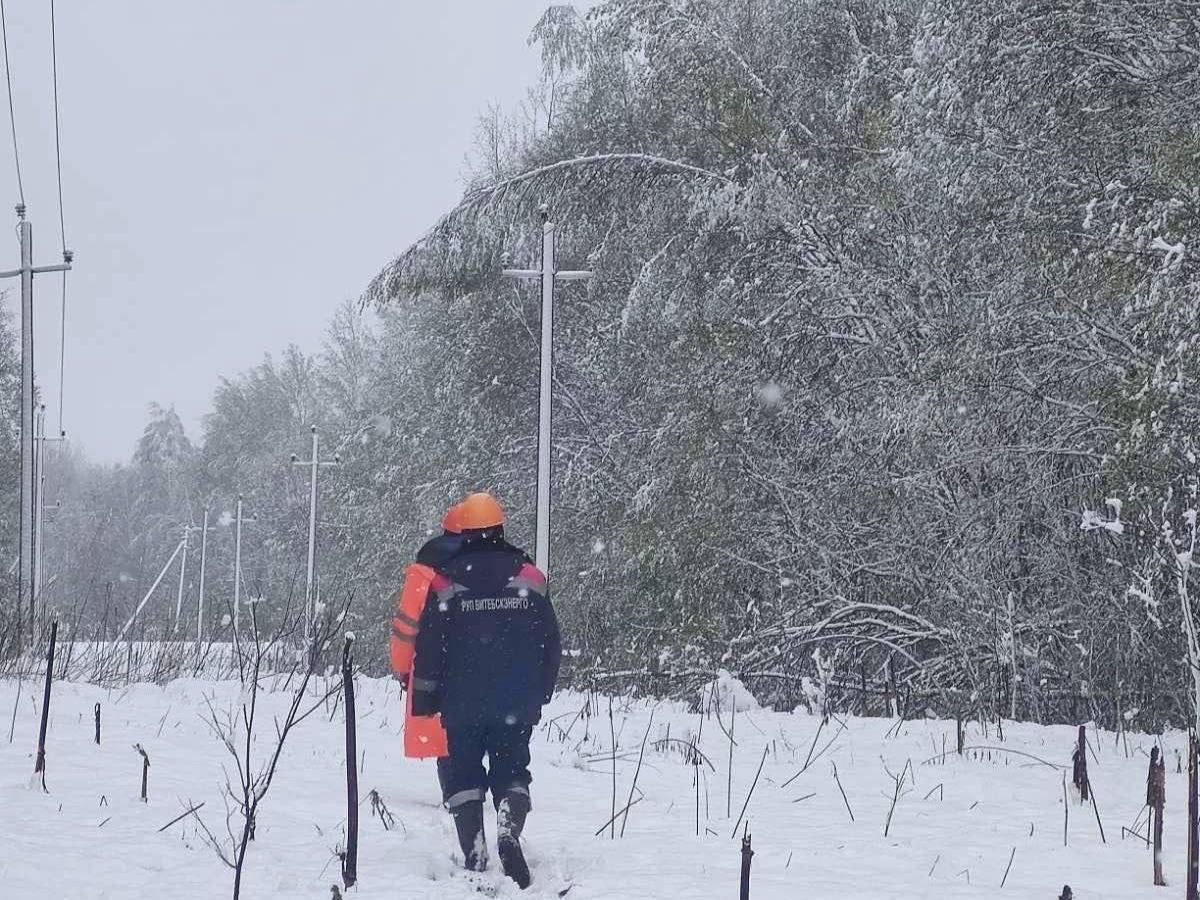 В Витебской области восстановлено электроснабжение пострадавших из-за непогоды населенных пунктов