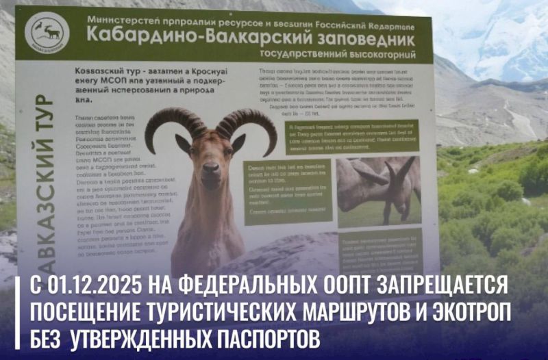 Для посещения экологических троп понадобится паспорт