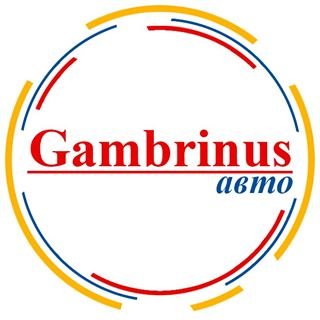 Gambrinus-Авто,Магазин автозапчастей и автотоваров, Автоаксессуары,Набережные Челны