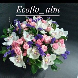 Ecoflo