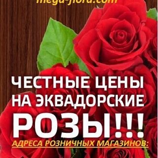 Мега Флора-Уфа