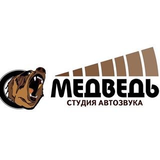 логотип компании Медведь
