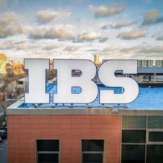 IBS,IT-компания,Москва