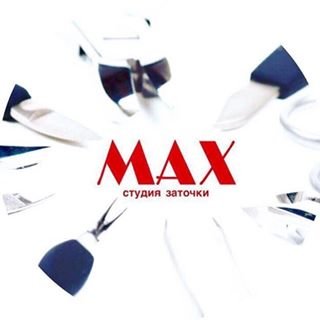 логотип компании MAX