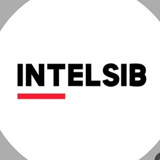 Intelsib,агентство интернет-маркетинга,Москва