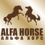 Alfa Horse,компания,Москва