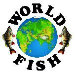 World Fish,база отдыха,Москва