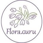Flora. Guru,флористическая компания,Москва