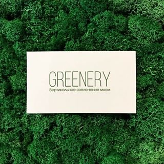 Greenery,студия вертикального озеленения,Москва