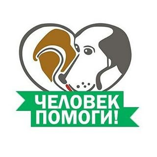 Помощь бездомным собакам,благотворительный фонд,Санкт-Петербург