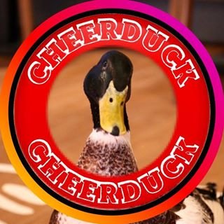 CheerDuck,ресторан,Санкт-Петербург