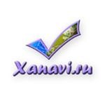 логотип компании Xanavi