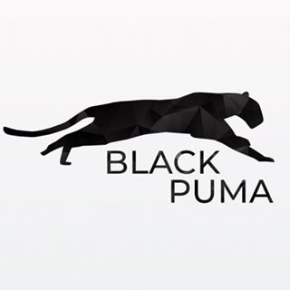 Black Puma Studio,студия,Санкт-Петербург