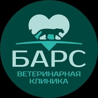 Барс,ветеринарная клиника,Санкт-Петербург