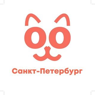 BookingCat,гостиница для животных,Санкт-Петербург