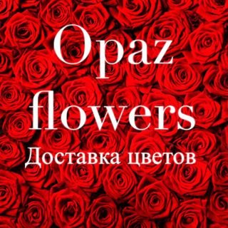 Opaz Group,компания по продаже и доставке цветов,Санкт-Петербург