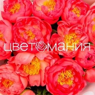 Цветомания,сеть цветочных салонов,Санкт-Петербург