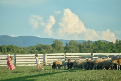Фото к отзыву