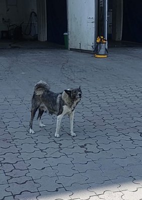 Фото к отзыву